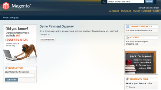 Demo Payment Gateway Page
