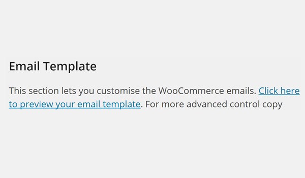 Email Template section