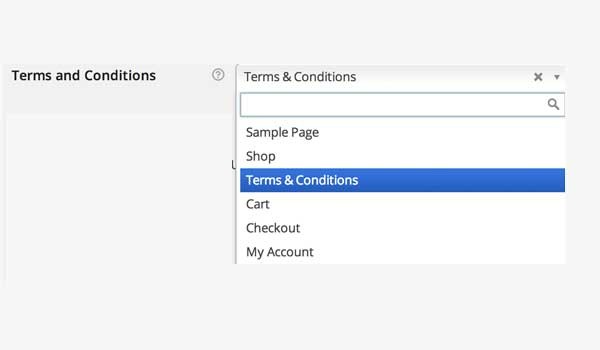 Add Terms  Conditions page