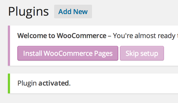 WooCommerce initialization