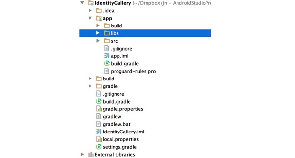 Android Studio Libs folder via the Project File panel