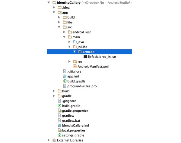 Android Studios Project folder view showing the structure where to put the native binaries