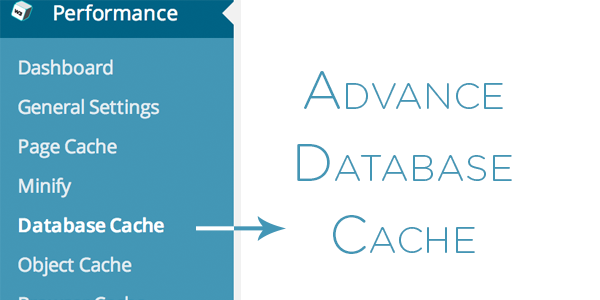 Advance Database Cache