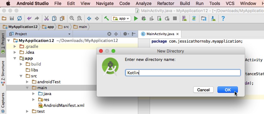 Create a dedicated Kotlin directory