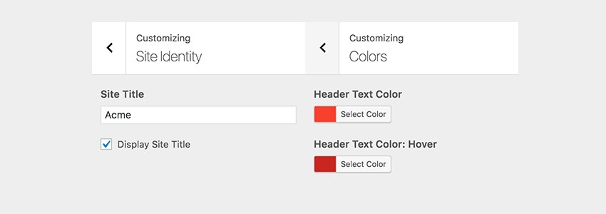 Input Checkbox and Color picker in the Customizer pane