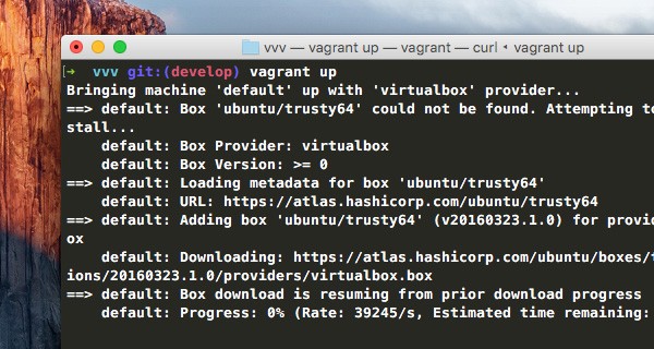 Terminal is running vagrant up command