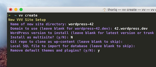 VV Prompt in Terminal Remove default themes and plugins