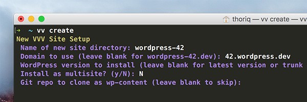 VV Prompt in Terminal Git repo to clone as wp-content leave blank to skip