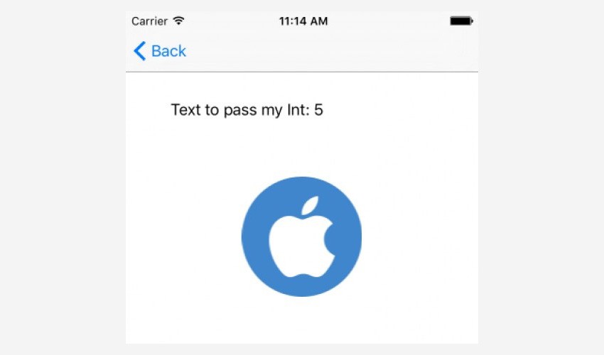 App screen showing Text to pass my Int 5 and Apple logo