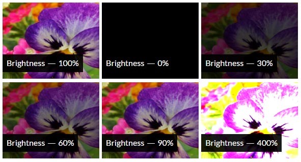 CSS Brightness Filter Effect
