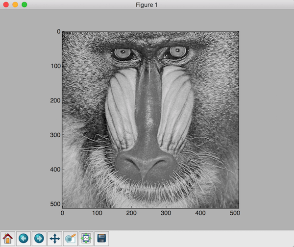 Baboon image in grayscale