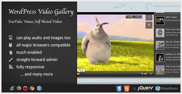 Video Gallery Wordpress Plugin w YouTube Vimeo