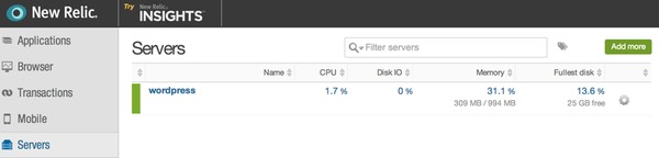 Initial New Relic Server insights