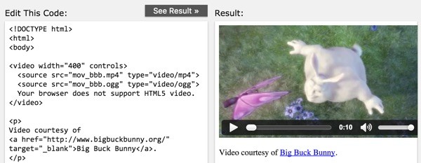 What is HTML5 Video Example