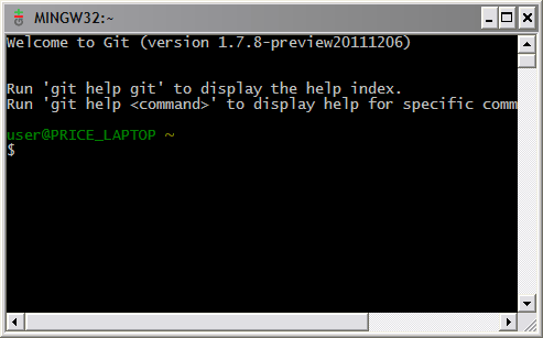 Figure 6: Screenshot of Git Bash