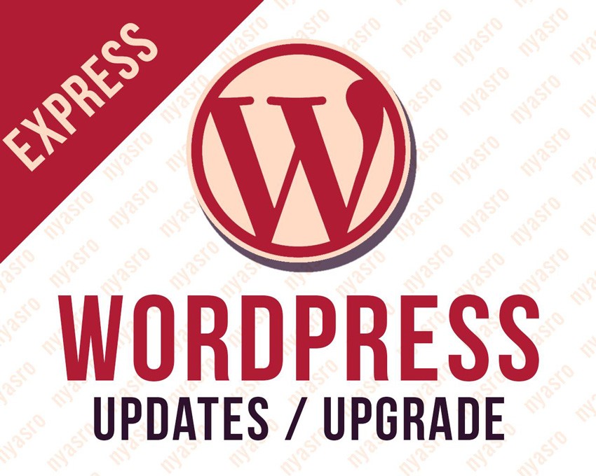 Express Wordpress Themes or Plugins Updates to Latest Version