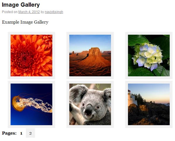 Gallery Pagination using Cleaner Gallery