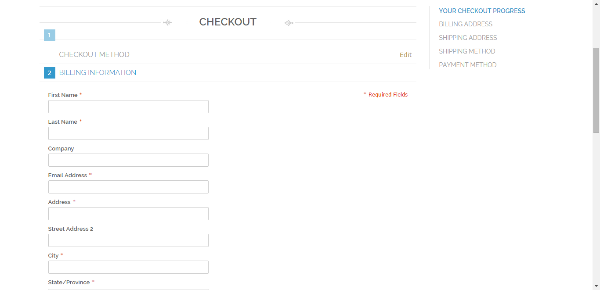 Current Checkout Page