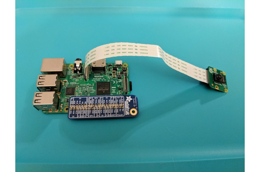 Raspberry Pi with connected camera module