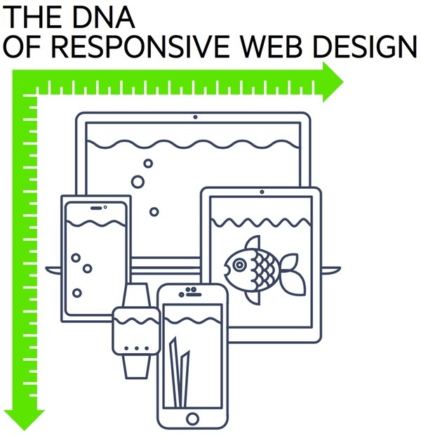 The DNA of Responsive Web Design white paper