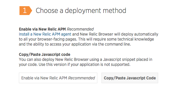 Choose the CopyPaste Javascript code deployment method if you cant use APM