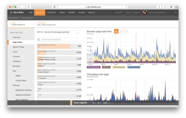 The Page Views page in New Relic Browser