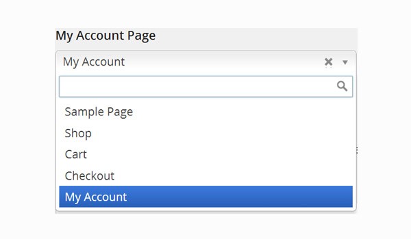 My Account Page dropdown menu