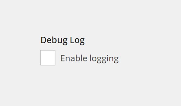 Debug Log