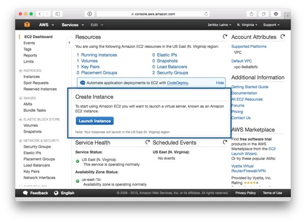 Launch a new EC2 instance