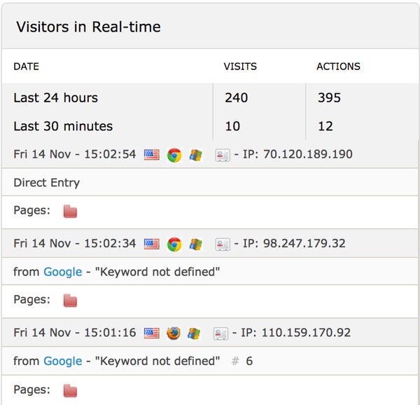 Piwik Real Time Visitor Panel