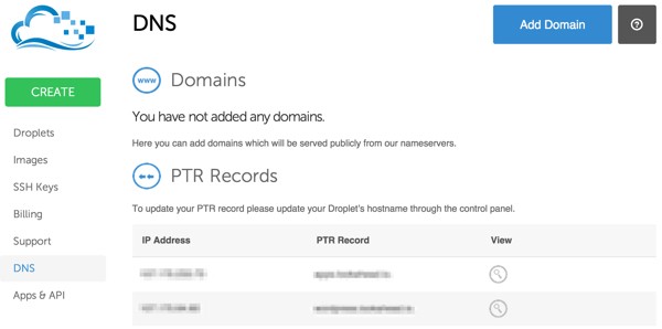 Digital Ocean DNS Web Console