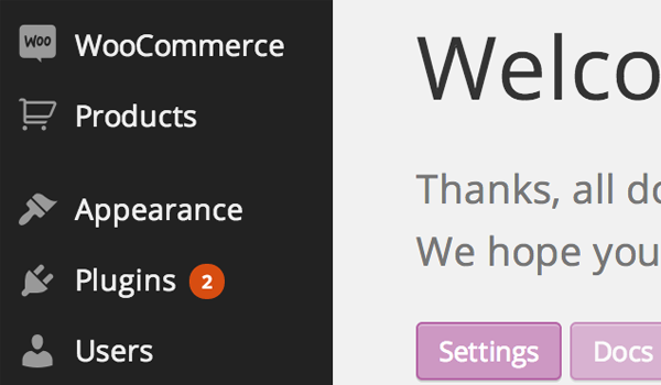 WooCommerce welcome screen