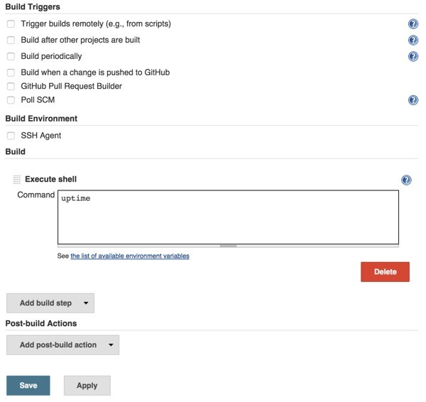 Jenkins Project Build Options and Shell Command