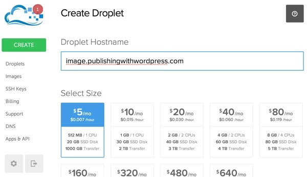 Digital Ocean Droplet Hostname