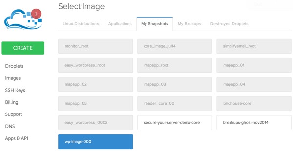 Create a Droplet from a Snapshot