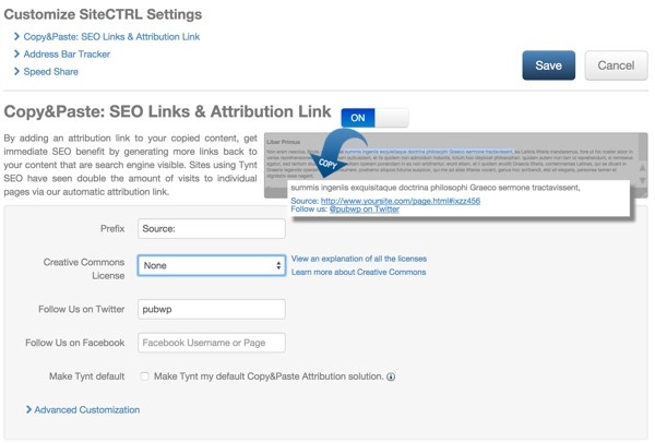 Example of Tynts Customize Copy and Paste Settings