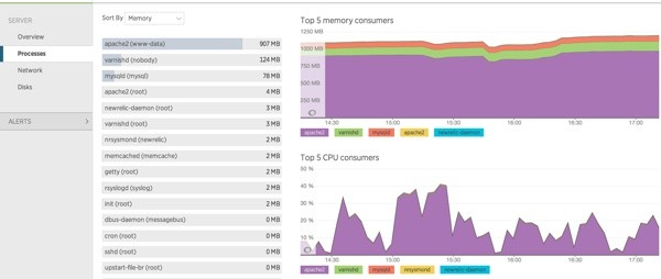 New Relic Processes