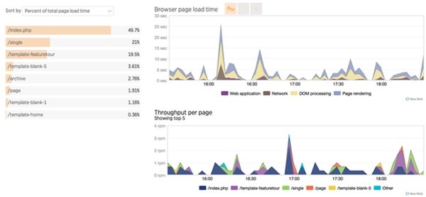 New Relic Script Analysis