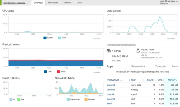 New Relic dashboard in WordPress