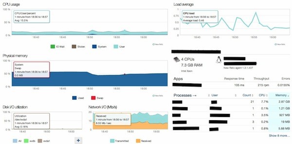 New Relic Server Dashboard