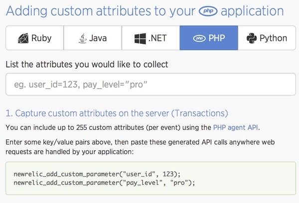 New Relic Insights Custom Attributes