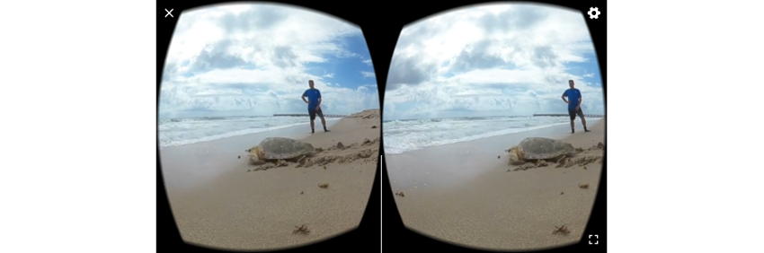 Image of beach scene with Google Cardboard