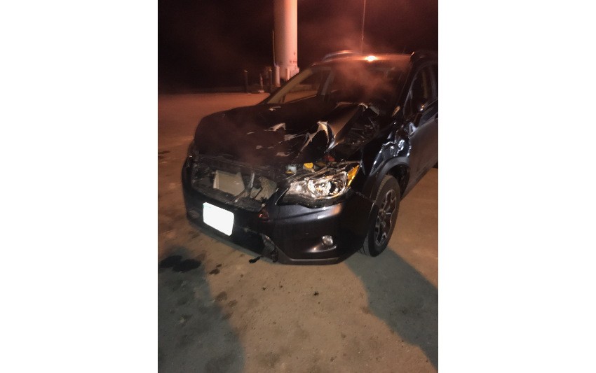 Car after hitting an elk near Durango Colorado