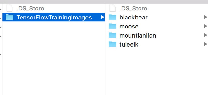 TensorFlow training images folder structure