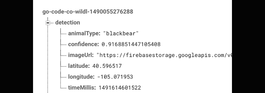 Output data from machine learning classification of image