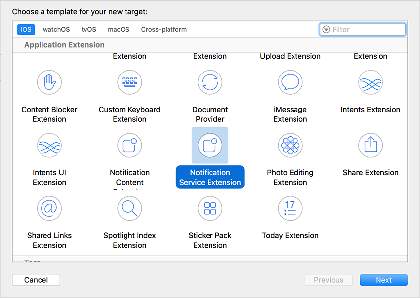 Extension Template