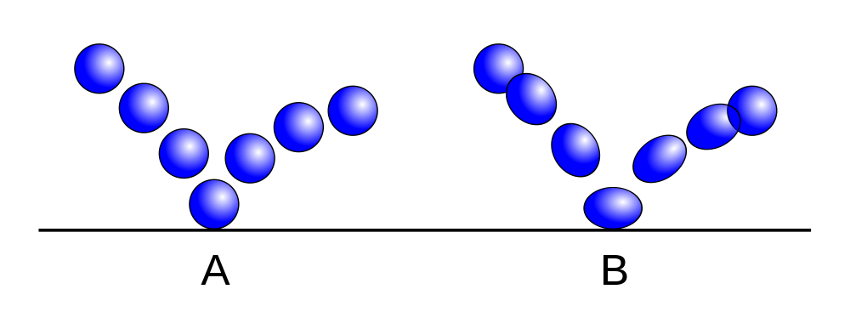 Stretch and Squash principle in animation