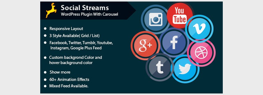 Social Stream for WordPress with Carousel