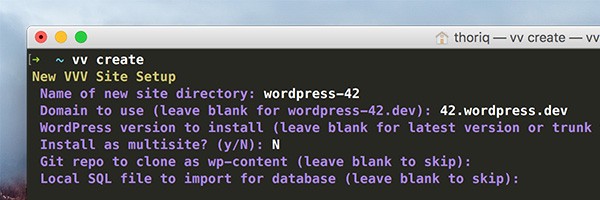 VV Prompt in Terminal Git repo to clone as wp-content leave blank to skip