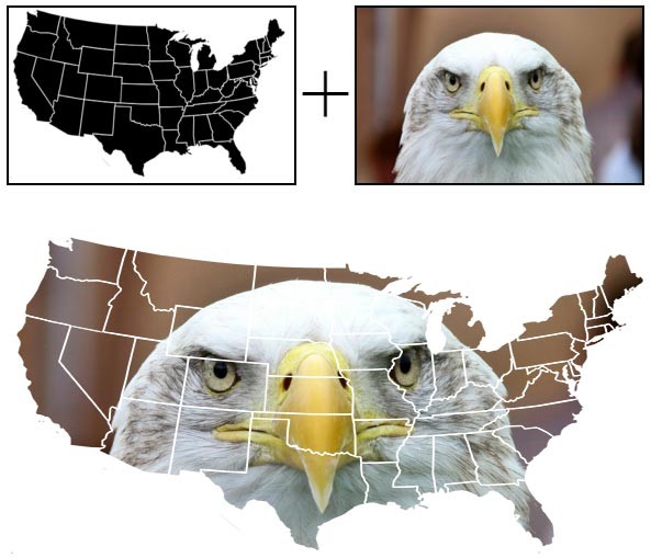 Combining US map with a bald eagle image